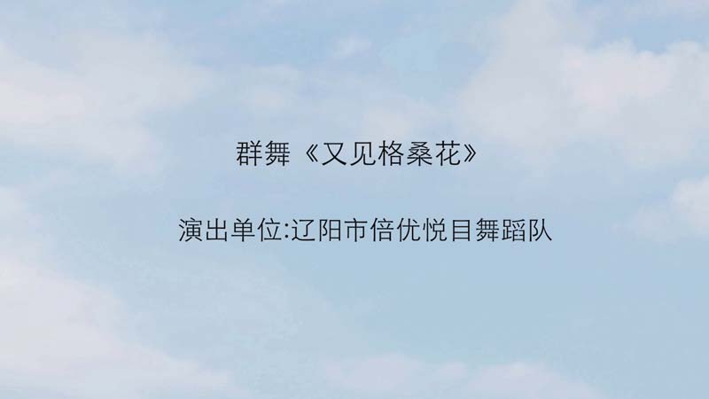 舞蹈《又见格桑花》--十二届艺术节\群众舞蹈